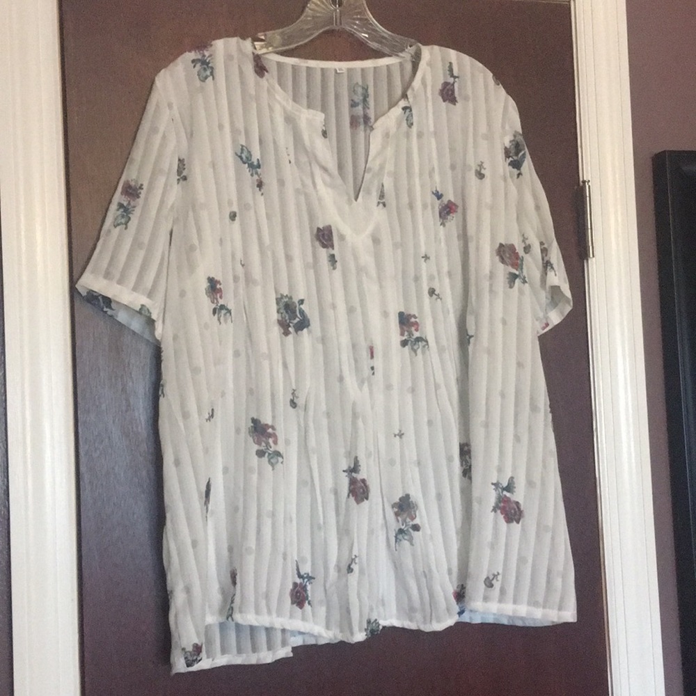 V neck sheer top